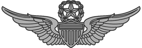  U.S. Army badges, medals, and insignias available for collectors and sellers in New Hartford